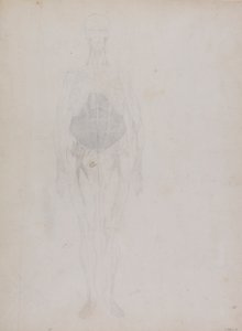 Postać ludzka, widok z przodu (głównie w zarysie) autorstwa George Stubbs