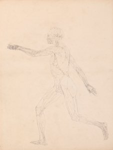 Postać ludzka, widok z boku (Dla kluczowej figury do Tabeli XIII) autorstwa George Stubbs