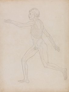 Postać ludzka, widok z boku autorstwa George Stubbs