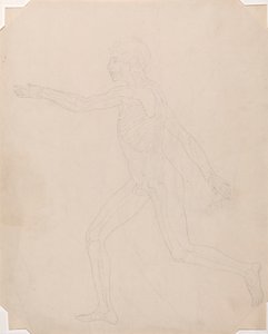 polish autorstwa George Stubbs