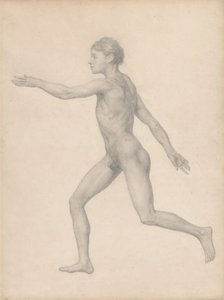 Postać ludzka, widok z boku, nierozdzielona (ukończone studium dla tabeli VIII) autorstwa George Stubbs