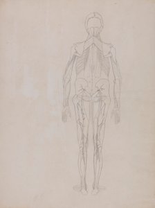 Postać ludzka, widok z tyłu (rysunek konspektu kluczowej figury niepublikowanej płyty) autorstwa George Stubbs