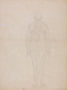 Postać ludzka, widok z tyłu autorstwa George Stubbs