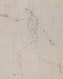 polish autorstwa George Stubbs