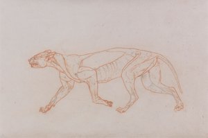 Ciało lamparta, widok z boku autorstwa George Stubbs