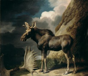 Łoś, 1770 autorstwa George Stubbs