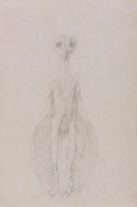 Sowa Stojąca, Widok Z Przodu autorstwa George Stubbs