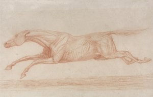 Studium konia wyścigowego w akcji: galop w lewo (czerwona kreda na papierze bufiastym) autorstwa George Stubbs