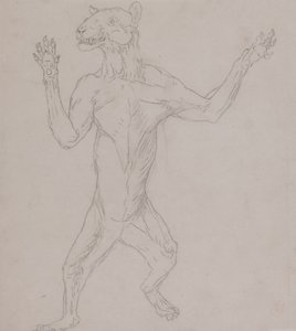 Studium tygrysa stojącego w ludzkiej postawie z Porównawczej ekspozycji anatomicznej budowy ciała ludzkiego z ciałem tygrysa i drobiu zwyczajnego, 1795-1806 (grafit na cienkim papierze tkanym) autorstwa George Stubbs