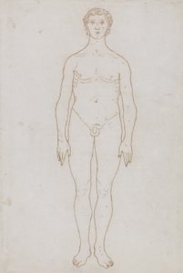 Studium postaci ludzkiej, widok z przodu, z „Porównawczej anatomicznej ekspozycji struktury ciała ludzkiego z ciałem tygrysa i drobiu zwyczajnego”, c.1795-1806 (czerwona kreda na papierze) autorstwa George Stubbs