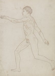 Studium postaci ludzkiej, widok boczny, z „Porównawczej ekspozycji anatomicznej budowy ciała ludzkiego z ciałem tygrysa i drobiu zwyczajnego”, c.1795-1806 (grafit na papierze) autorstwa George Stubbs