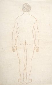 Studium postaci ludzkiej, widok z tyłu, z porównawczej ekspozycji anatomicznej budowy ciała ludzkiego z ciałem tygrysa i drobiu zwyczajnego, c.1795-1806 (atrament na papierze) autorstwa George Stubbs