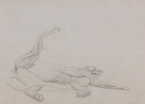 Ciało tygrysa, leżące, oglądane od strony brzusznej autorstwa George Stubbs