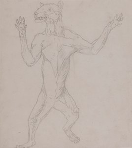 Ciało tygrysa, stojące w ludzkiej postawie autorstwa George Stubbs