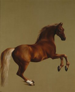 Gwizdek autorstwa George Stubbs