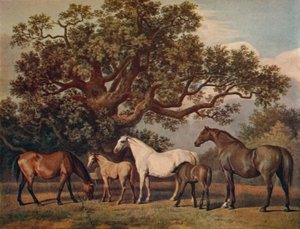 Klacze lęgowe i źrebięta, koniec XVIII wieku, 1922