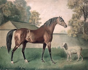 „Dungannon” (akwarela na papierze)