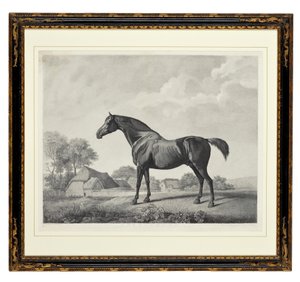 Sweetbrier (grawerowanie punktowe)