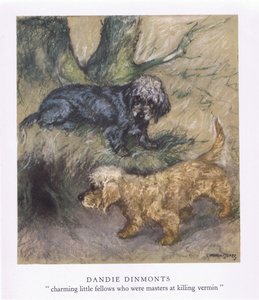 Dandie Dimonts (kolorowa litografia)