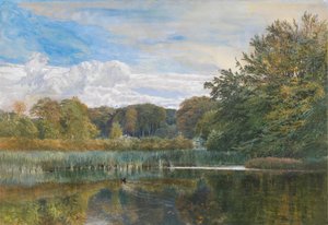 Staw Młyński, Evelyn Woods