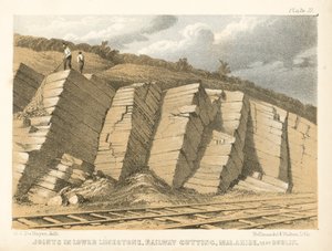  autorstwa George Victor Du Noyer