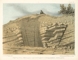 Trap Dyke, Dundalk and Enniskillen Railway, Irlandia (kolorowy grawerunek) autorstwa George Victor Du Noyer