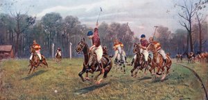 Gra polo