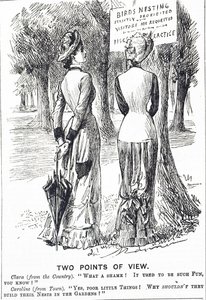 Karykatura komentująca ustawę o ochronie ptaków z 1880 r. autorstwa George du Maurier