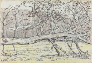 Ścięte drzewo, Normandia autorstwa Georges Lacombe