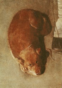 Gracz liry korbowej ze swoim psem, ok. 1620 (szczegóły) (patrz także 67918) autorstwa Georges de La Tour