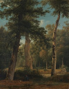  autorstwa Georgius Jacobus Johannes van Os