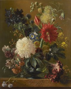 Martwa natura
