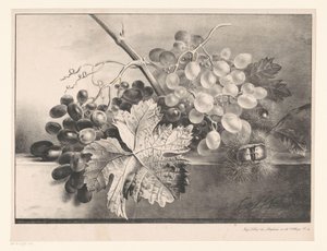 Martwa natura z winogronami i kasztanami autorstwa Georgius Jacobus Johannes van Os