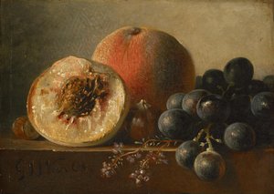  autorstwa Georgius Jacobus Johannes van Os