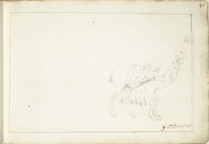 Koń w prawo autorstwa Gerard ter Borch (II) (signed by artist)