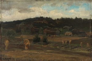 Snopy zboża