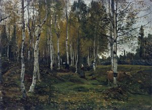 Brzozowy las jesienią