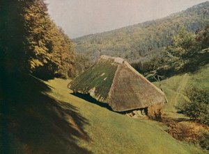 Tradycyjne gospodarstwo w Schwarzwaldzie, Wildtal, Niemcy (zdjęcie kolorowe) autorstwa German Photographer