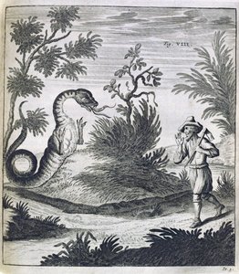 Straszny smok, ok. 1660 autorstwa German School