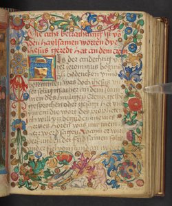 Pełne obramowanie zamieszkane przez zwierzęta i putto, Add. MS 24153, f.54r (tusz i kolor na pergaminie) autorstwa German School