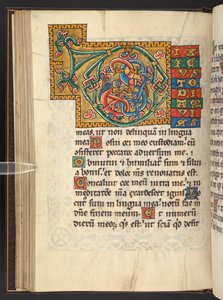 Dodać. 60629, f.43v Duże oprawione inicjały w kolorze złotym i kolorowym z ornamentem roślinnym, czasem zoomorficznym i antropomorficznym (welum) autorstwa German School