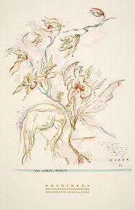 Reklama "Orchideen aus dem Hause Hermann Roth" od Styl, pub.1922 (druk pochoir) autorstwa German School