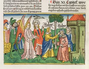 Apocrypha: Tobiasz przywraca ojcu Tobitsowi wzrok z żółcią ryby, z Biblii Norymberskiej (Biblia Sacra Germanaica) (kolorowy drzeworyt)