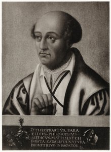 Aureolus Bombastus Paracelsus autorstwa German School