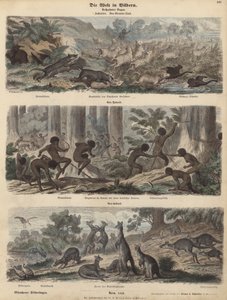 Australia (kolorowy grawerunek) autorstwa German School