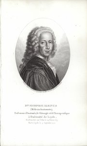 Bernhard Siegfried Albinus autorstwa German School