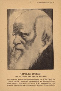 Karol Darwin (1809-1882), angielski przyrodnik (litografia) autorstwa German School