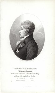 Charles Louis Wildenow autorstwa German School