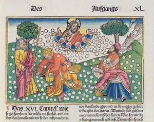 Wyjścia 16 13-22 Bóg dostarcza Izraelitom przepiórki i mannę z Biblii Norymberskiej (Biblia Sacra Germanaica) (kolorowy drzeworyt)