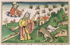 Wyjścia 8 20-32 Siedem plag egipskich: Mojżesz i rój much, z „Biblii Norymberskiej (Biblia Sacra Germanaica)” (drzeworyt kolorowy) autorstwa German School
